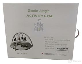 img 1 attached to 🦁 Gabby Grove Gentle Jungle Baby Activity Gym: Grey Educational Play Mat with Mirror, Tummy Time Pillow, and Toys in Neutral Tones - Perfect Infant Shower Gift!