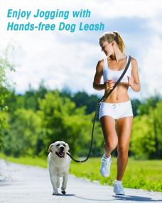 img 3 attached to Hands-Free Dog Training Leash: Oneisall'S 8Ft Nylon Double Leash For All Sizes