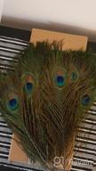 картинка 1 прикреплена к отзыву Bulk Natural Peacock Feathers For DIY Crafts, Weddings, And Decorations - 50 Pieces, 10-12 Inches от Scott Galloway