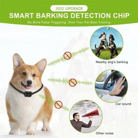 img 3 attached to BOMNIS Citronella Spray Bark Collar, Rechargeable Anti Bark Collar with 1 Refill - No Shock Humane Spray Dog Bark Collar, Adjustable Sensitivity and Spray Volume for Small, Medium, and Large Dogs