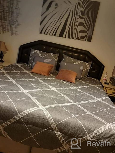 img 1 attached to King Size All Season 3-Piece 100% Cotton Fabric Comforter Set With Soft Microfiber Filling, Lightweight Reversible Duvet Insert (Grey Stripe, YS003) review by Abunsefer Chongbang