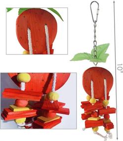 img 1 attached to Hamiledyi Natural Wood Block Bird Cage Toys - Foraging Toy Set with Fruit Shaped Hanging Chewing Toys for Small to Medium Birds - Parakeets, Cockatiels, Conures, Budgie, Canary - 4pcs