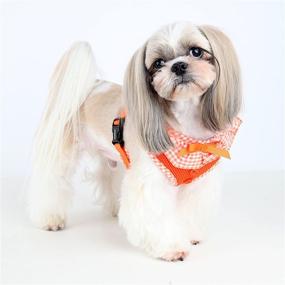 img 1 attached to 🐶 Puppia Authentic Vivien Harness A - Небесно-голубой (Маленький): Непревзойденный пёсий ошейник для стиля и комфорта.