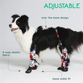 img 1 attached to 🐾 Adjustable Dog Leggings for Small Medium Large Breeds with Anti-Slip Sole - Greenvine