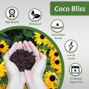 img 2 attached to Plantonix Coco Bliss Fiber Soil Disks (50, 30Mm) Organic Potting Soil For Planting Indoor Container House Plants, Seed Starting, Herbs, Succulents, Wheatgrass, Microgreens, Gardening, Flowers