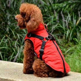 img 2 attached to 🐶 Warm Winter Dog Vest with Harness - Gyuzh Padded Vest Dog Jacket: Small Dog Coat & Clothes