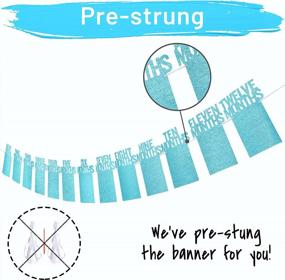 img 3 attached to Blue First Birthday Photo Banner For Boys - PartyHooman Monthly Milestones Garland With Frame, Perfect Decorations For Newborn To 12 Months Celebration, Pre-Strung For Easy Setup