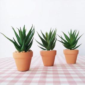 img 1 attached to 🌵 Set of 2 Mini Textured Faux Succulent Picks, Spiky Green Haworthia Cactus, Artificial Mini Aloe, Unpotted (Green)