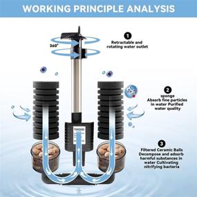img 3 attached to 🐟 TOHIDAQU Aquarium Sponge Filter - 3W 70GPH Fish Tank Filters with Double Sponge: Electric Power Ultra Quiet Aquarium Filter for 10-45 Gallon Tanks