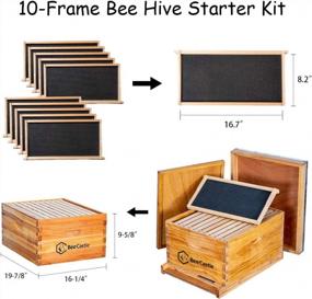 img 2 attached to 10-Frame Bee Hives And Supplies Starter Kit,Beehive Kit Dipped In 100% Beeswax,Bee Keeping Supplies-All Beginners Kit Includes Beekeeping Supplies Tool Set And Bee Suit