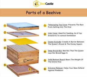 img 3 attached to 10-Frame Bee Hives And Supplies Starter Kit,Beehive Kit Dipped In 100% Beeswax,Bee Keeping Supplies-All Beginners Kit Includes Beekeeping Supplies Tool Set And Bee Suit