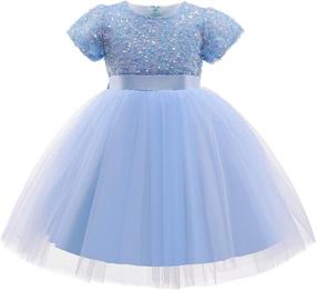 img 4 attached to Nileafes Embroidery Princess Dresses Pageant Girls' Clothing ~ Dresses