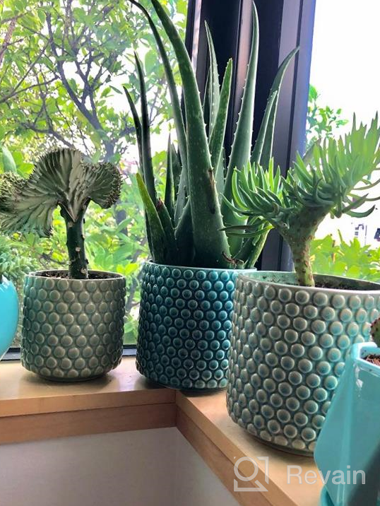 img 1 attached to 6 Inch Ceramic Planters Pots With Drainage Hole For Indoor Plants, Succulent Cactus - POTEY 054304 Vintage Style Polka Dot Patterned Bonsai Container (Plants NOT Included) review by Chad Guinn