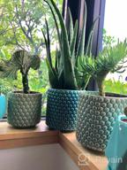 картинка 1 прикреплена к отзыву 6 Inch Ceramic Planters Pots With Drainage Hole For Indoor Plants, Succulent Cactus - POTEY 054304 Vintage Style Polka Dot Patterned Bonsai Container (Plants NOT Included) от Chad Guinn