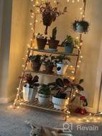 img 1 attached to COPREE Bamboo 3-Tier Hanging Plant Stand: Organize Your Garden In Style! review by Brian Hrdlicka