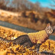 img 1 attached to Cozy Up Your Feline Friend With Our Turtleneck Cat Sweater – Perfect For Kitty, Chihuahua, Teddy, Poodle, Pug And Small Dogs! review by Justin Abrams