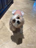 img 1 attached to Dog Recovery Suit After Surgery, 2Nd Edition - Male Female Dog Cats Cone E-Collar Alternative Abdominal Wounds Spay Bandages Onesie Anti-Licking Pet Surgical Snuggly Suit review by Cody Unruh