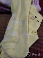 картинка 1 прикреплена к отзыву 5 упаковок Maiwa 🧦 Детские носки из хлопка с котами без швов от Michelle Pierce