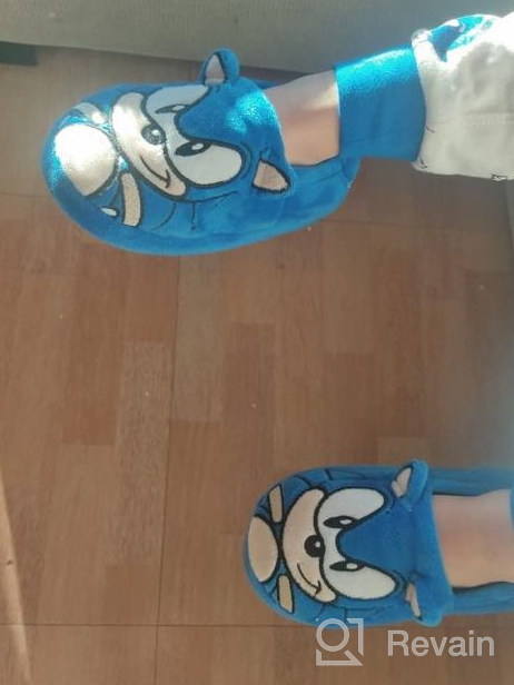 img 1 attached to 🦔 Sonic The Hedgehog Kids Plush Slippers: Embroidered Face, 3D Character Shoes review by Jimmy Garcia