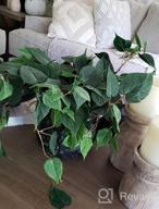 img 1 attached to 3.2FT Artificial Hanging Ivy Vine Plants For Wall Indoor Outdoor Decoration - Scindapsus Leaves Home Room Garden Decor review by Charles Mistretta