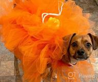 img 1 attached to Spooky Fun For Your Pup: Small Orange Loofah Halloween Costume From Midlee review by Heather Bell