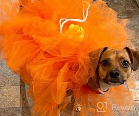 img 5 attached to Spooky Fun For Your Pup: Small Orange Loofah Halloween Costume From Midlee
