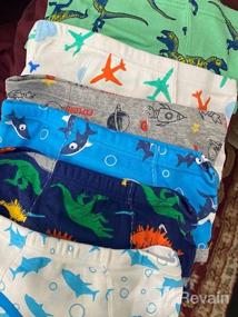 img 6 attached to Dinosaur Toddler Underwear for Boys - Airplane Print Kids' Clothing and Undergarments