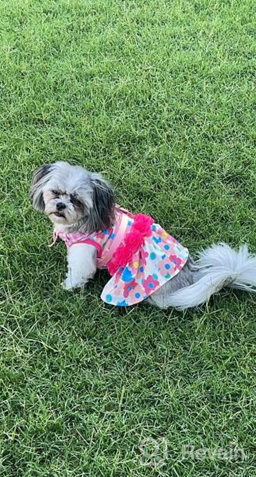 img 1 attached to KYEESE Floral Rose Dog Dresses with Flowers Decoration - Elegant Princess Dress for Small Dogs, Ideal for Spring and Summer - Puppy Apparel and Pet Clothing review by Mack Douglas