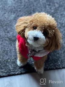 img 5 attached to Тепло и уютно: зимняя одежда PUPTECK с шапкой для маленьких и средних собак