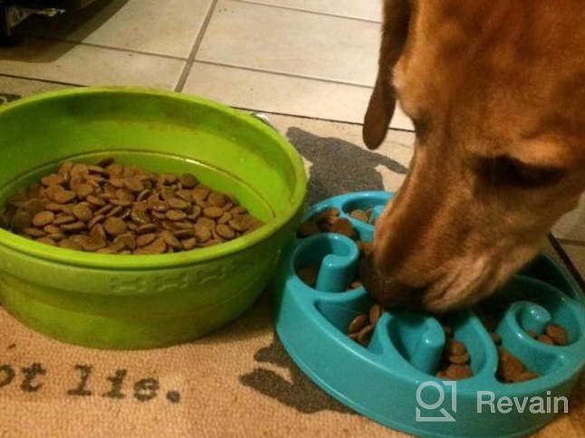 img 1 attached to Wangstar Slow Feeder Bowl For Dogs And Cats - Fun Maze Puzzle Bowl With Bloat Stop Feature, Anti-Skid Design - Blue Color, 8'' X 1.9'' Size review by Travis Petty