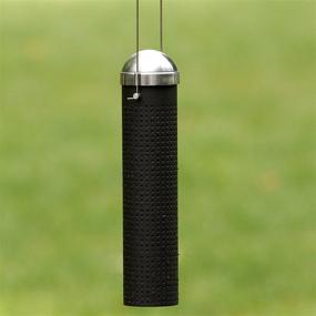 img 2 attached to Enhance Your Backyard with the Perky-Pet FF10 10-Inch Metal Finch Feeder