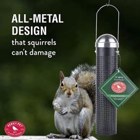 img 1 attached to Enhance Your Backyard with the Perky-Pet FF10 10-Inch Metal Finch Feeder