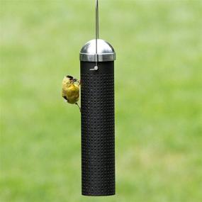 img 3 attached to Enhance Your Backyard with the Perky-Pet FF10 10-Inch Metal Finch Feeder