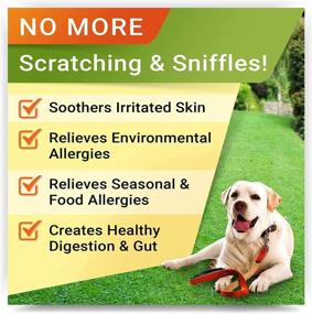 img 2 attached to Grass Burn Spot Chews + Allergy Relief Dog Treats W/ Omega 3 Bundle - Dog Pee Lawn Saver + Itchy Skin Relief - DL-Methionine + Enzymes + Pumpkin + Turmeric - 360 Soft Chews - Made In USA