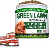 grass burn spot chews + allergy relief dog treats w/ omega 3 bundle - dog pee lawn saver + itchy skin relief - dl-methionine + enzymes + pumpkin + turmeric - 360 soft chews - made in usa logo