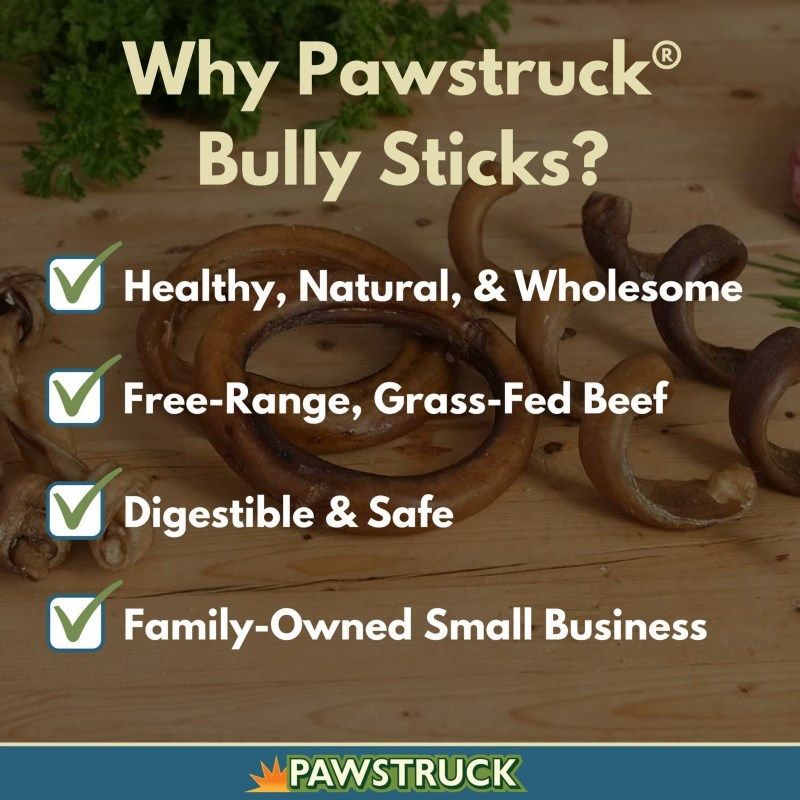 Pawstruck monster sales braided bully stick