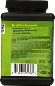 img 3 attached to 🐢 Optimized Forest Tortoise Soft Food: Exo Terra Pellets for Reptiles