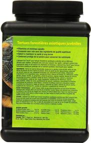 img 1 attached to 🐢 Optimized Forest Tortoise Soft Food: Exo Terra Pellets for Reptiles