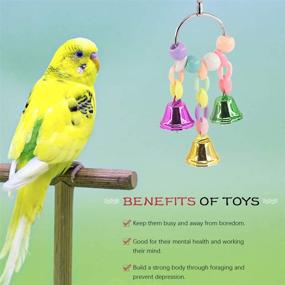 img 2 attached to 🐦 Hilitchi 3 Pack Bird Toys Set for Parrots, Parakeets, Conures, and Cockatiels - Hanging Bells, Rattan Balls, and Twisted String - Small Parakeet Cage Accessories for Decor and Entertainment