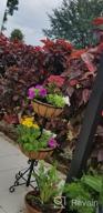 img 1 attached to Add Charm To Your Outdoor Area With Gardman R945 Forge Hanging Basket And Coco Liner | 12" X 7" Dimensions review by Atheendra Wroblewski