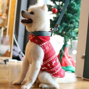 img 1 attached to 🐶 Dumili Christmas Dog Winter Coat: Reversible Fleece Sweater Vest for Small, Medium, Large Dogs – Red, Pet Cold Weather Jacket