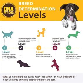 img 2 attached to Dna My Dog Genetic Testing