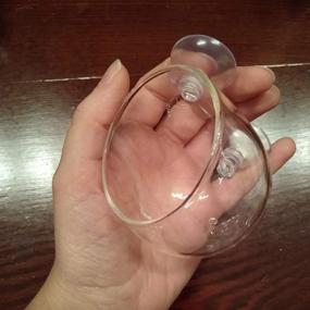 img 3 attached to 🌿 Ailindany Crystal Glass Aquatic Plant Cup Pot Holder: Perfect Fish Tank Aquarium Decor with Suction Cups