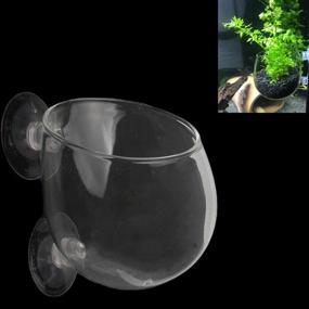 img 4 attached to 🌿 Ailindany Crystal Glass Aquatic Plant Cup Pot Holder: Perfect Fish Tank Aquarium Decor with Suction Cups