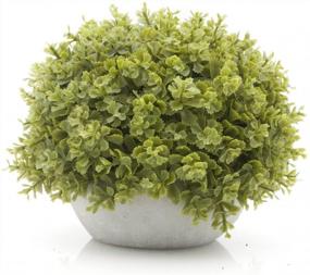 img 2 attached to Velener Mini Artificial Green Grass Ball In White Cement Pot For Home Decor(Set Of 2)