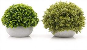 img 4 attached to Velener Mini Artificial Green Grass Ball In White Cement Pot For Home Decor(Set Of 2)