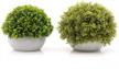 velener mini artificial green grass ball in white cement pot for home decor(set of 2) logo