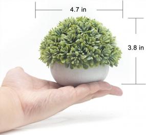 img 1 attached to Velener Mini Artificial Green Grass Ball In White Cement Pot For Home Decor(Set Of 2)