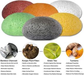 img 2 attached to Radiant Konjac Facial Sponges for Optimal Skin Care