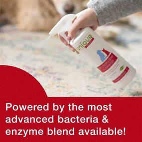 img 2 attached to 🐾 Ultimate Solution: Unique Pet Odor and Stain Eliminator - Powerful Liquid Concentrate for Effective Bio-Enzymatic Removal of Old and New Pet Odor and Stains